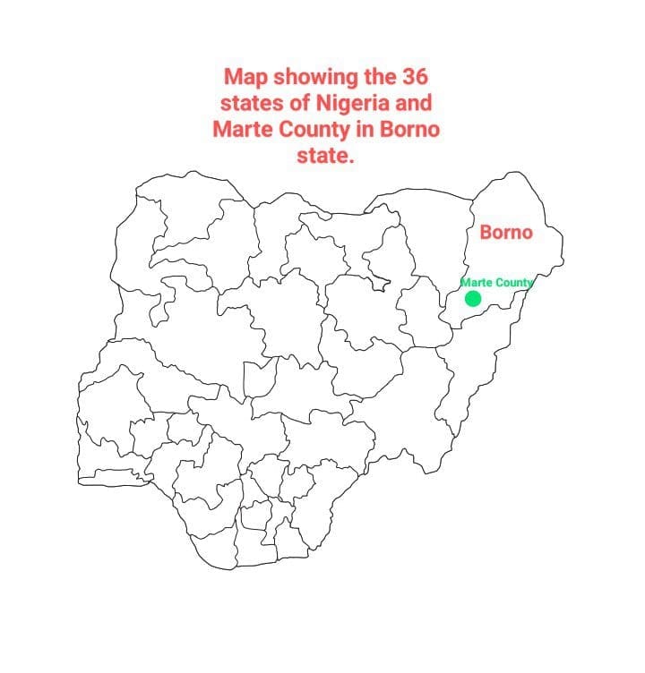 Map of Nigeria showing the 36 states and Marte county in Borno state. Courtesy: Produced by Segun Onibiyo