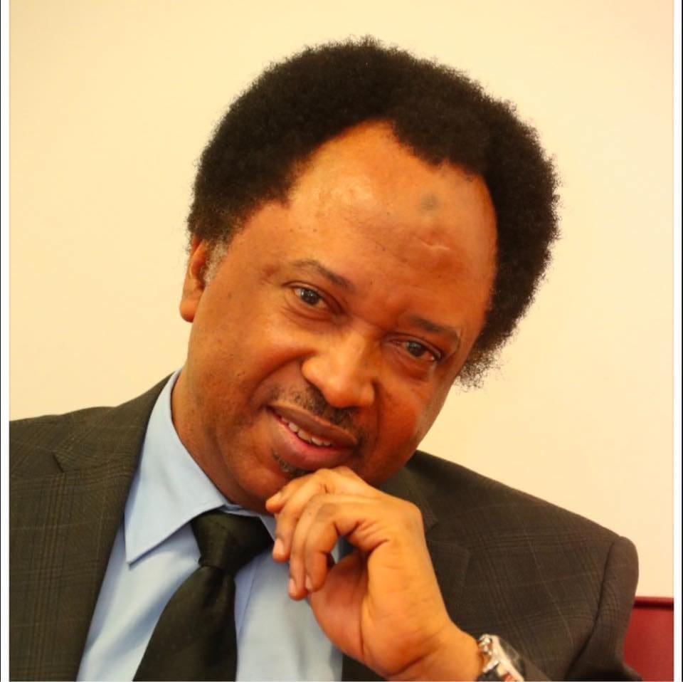 Senator Shehu Sani. Courtesy – Facebook.
